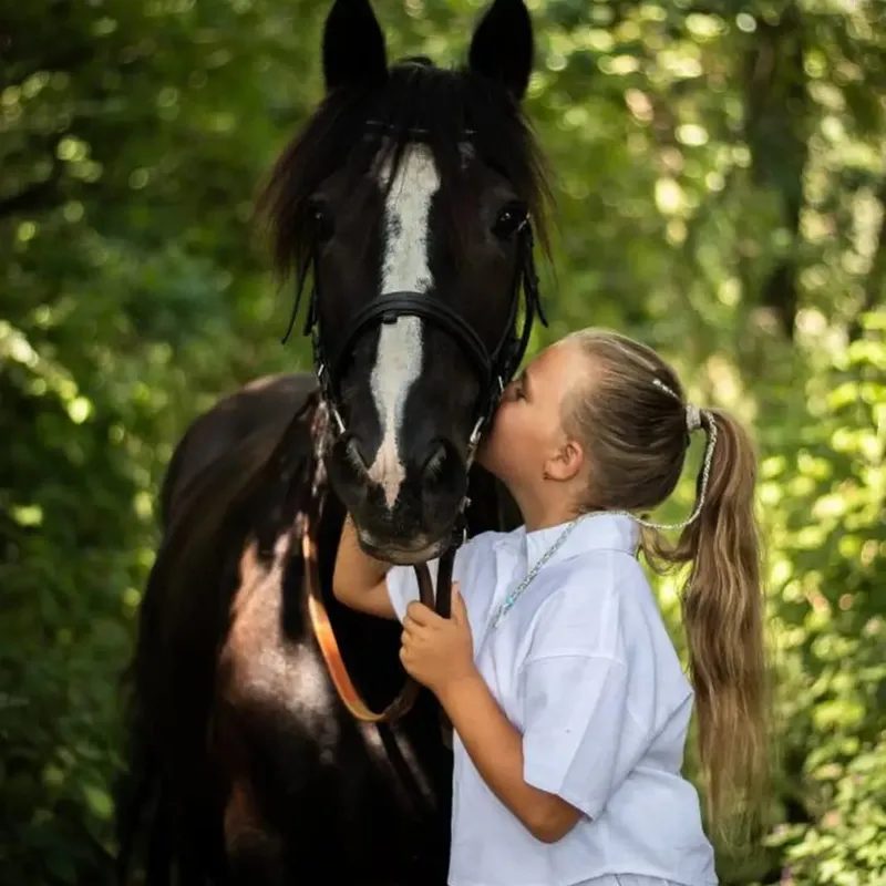Grupa koni na wybiegu w ośrodku Ponny Hoff