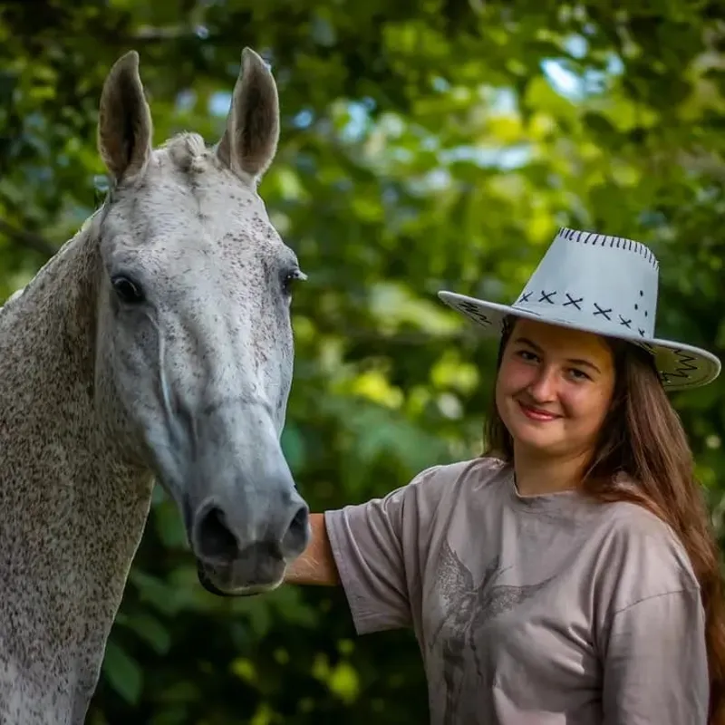 Koń podczas codziennej pielęgnacji